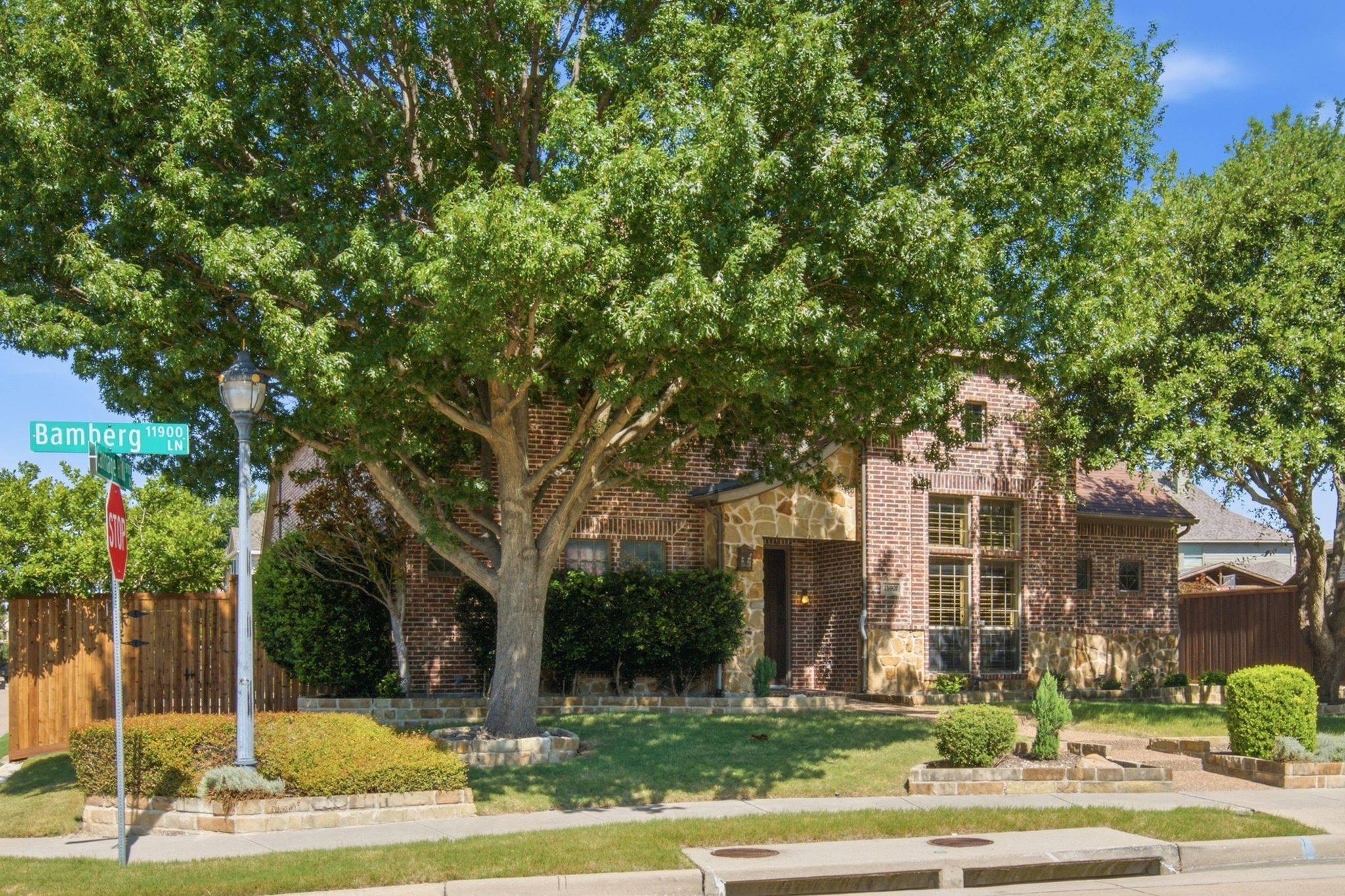 Frisco, TX — photo 3